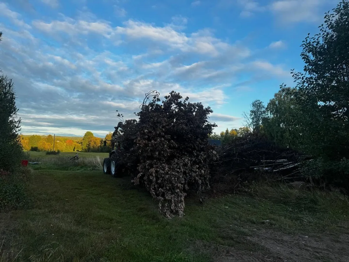 Traktor med ett stort lass sly på vagnen, öppet landskap, höstskog och blå himmel med moln